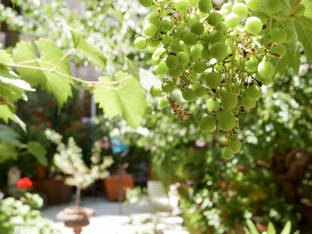Vieux Port Panier Jardin Hotell Marseille Exteriör bild